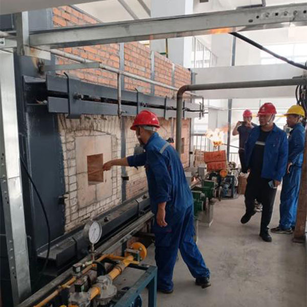 Shandong Dahua Group Successfully Commissions 50,000-Ton Mannheim Potassium Sulfate Project: Technological Innovation Drives Green Development